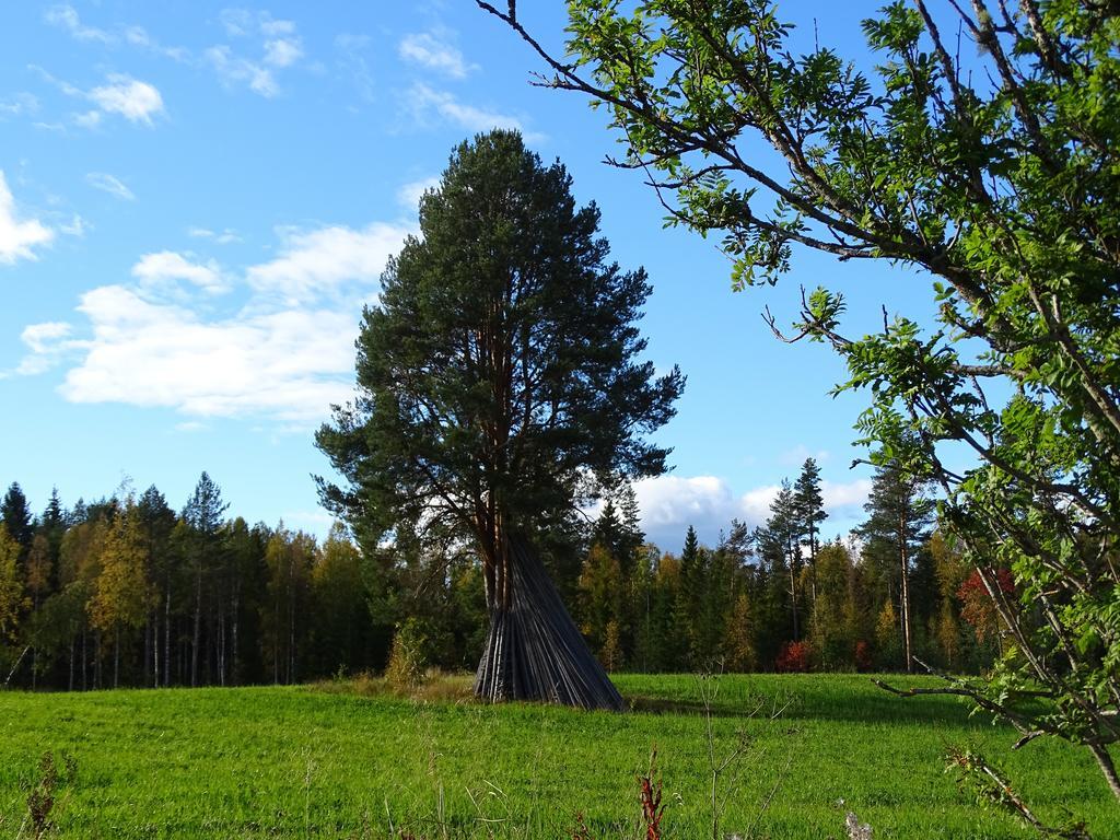 Viking Trails Outdoor & Accommodations レットビーク エクステリア 写真